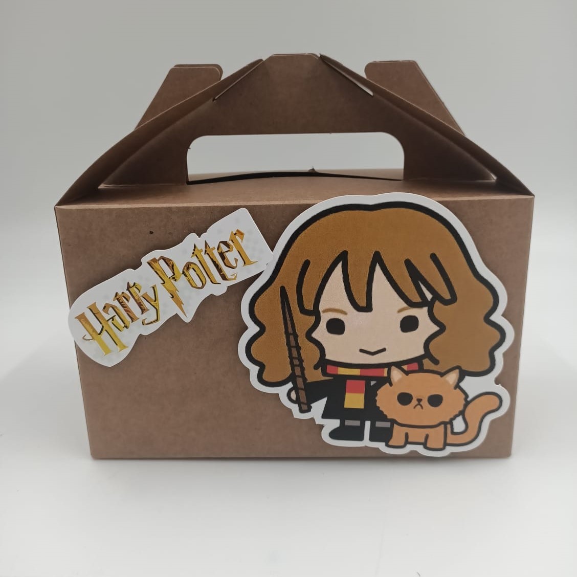 Harry Potter Temalı Hediyelik Karton Taşıma Kutusu