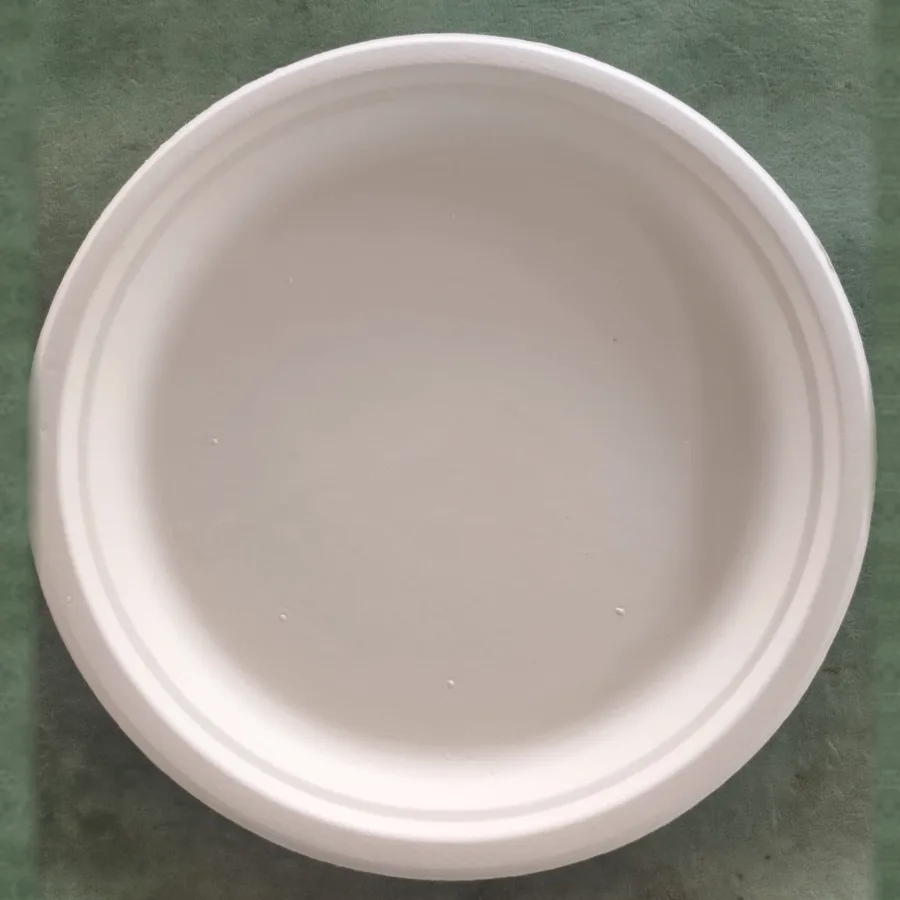 Şeker Kamışı (Bagas) Tabak Nedir? Plastik ve Karton Tabaktan Farkı