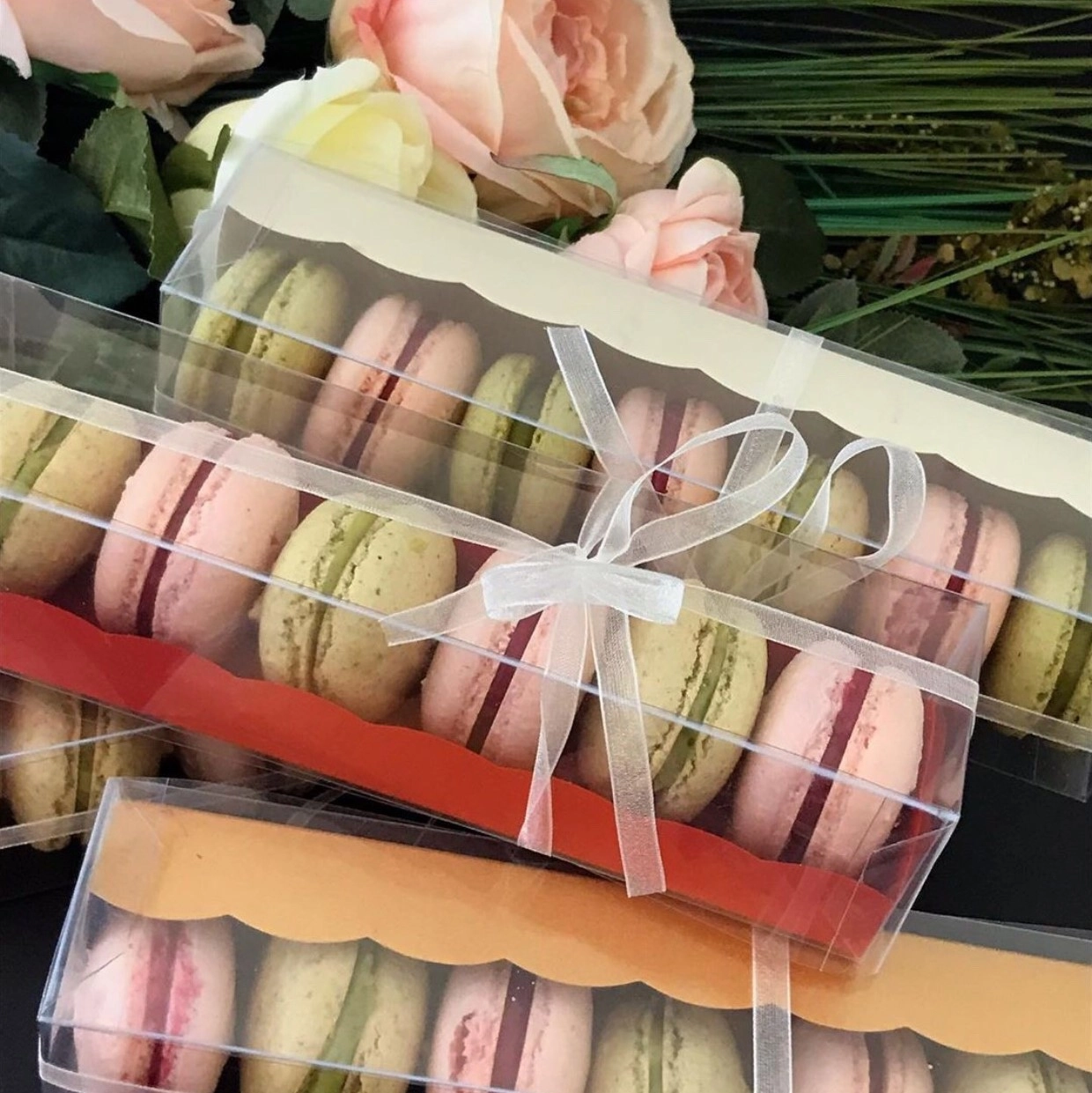 20x5x5 cm Renkli Tabanlıklı Asetat Makaron Kutusu (5’li Paket)