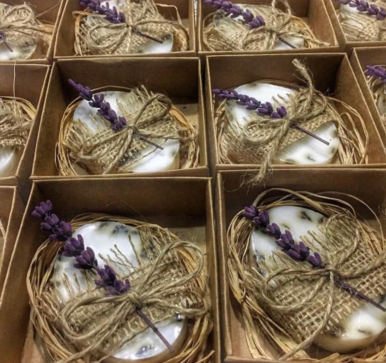 Karton Kutu Asetat Kapak 10 ’lu