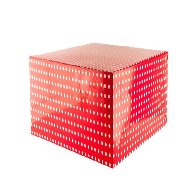 Pasta Taşıma Kutusu