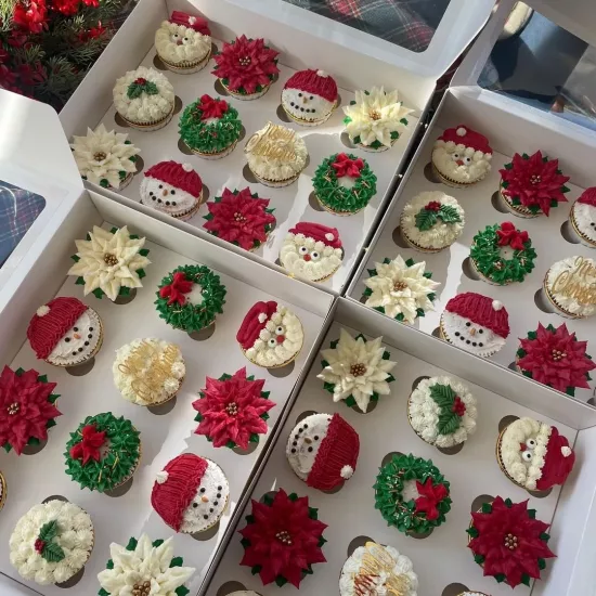 Cupcake Taşıma Kutusu | 9 ’lu Cupcake Kutusu