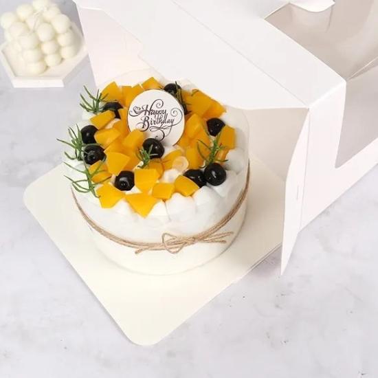 Fincan Pasta Kutusu | Bento Pasta Kutusu