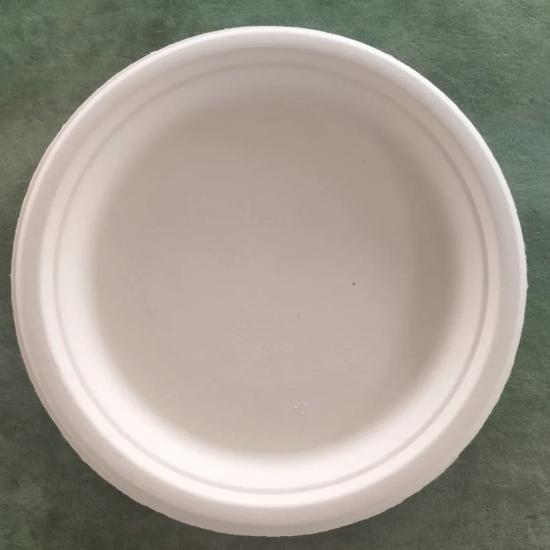 23 cm Şeker Kamışı Tabak | Kompostlanabilir