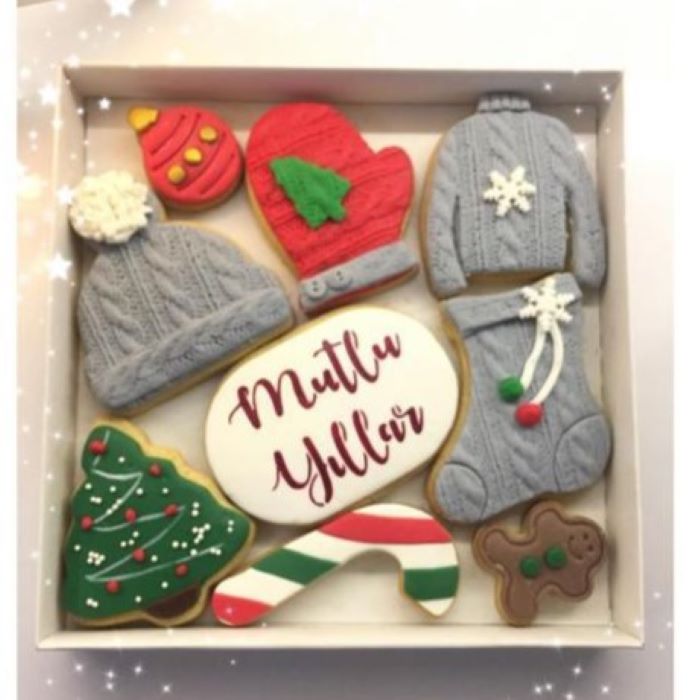 Karton Kutu Asetat Kapak 10 ’lu