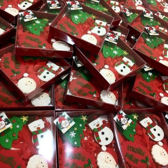 Karton Kutu Asetat Kapak 10 ’lu